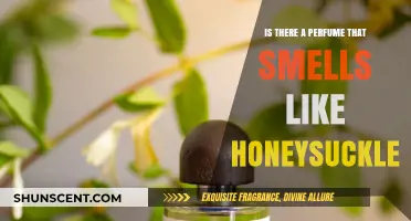 The Sweet Smell of Honeysuckle: Finding the Perfect Perfume