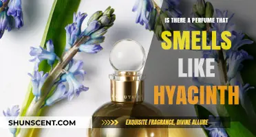 Find the Perfect Hyacinth Fragrance for Spring