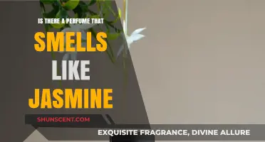 Jasmine Scents: Finding the Perfect Perfume