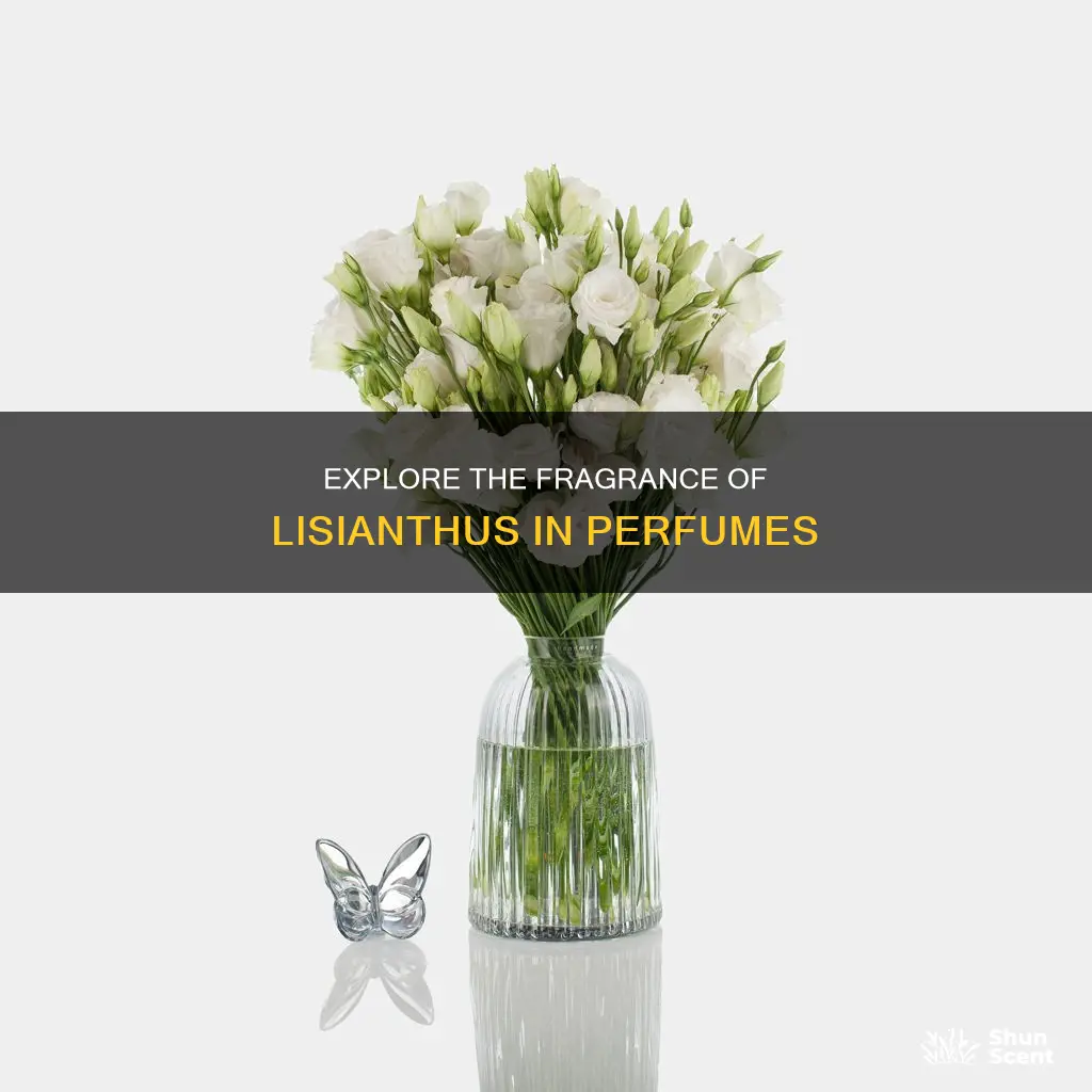 is there a perfume that smells like lisianthus