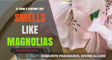 Magnolia Scents: The Best Perfumes for You