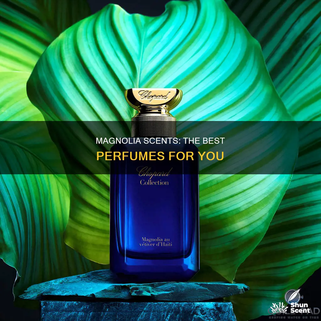 is there a perfume that smells like magnolias