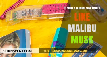 Seeking Malibu Musk: Finding the Perfect Scent