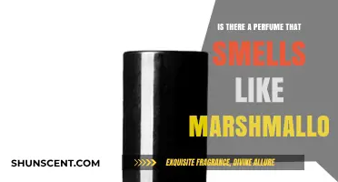 The Sweet Scent of Marshmallows: A Perfume Dream?