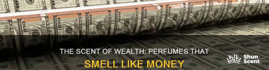 is there a perfume that smells like money