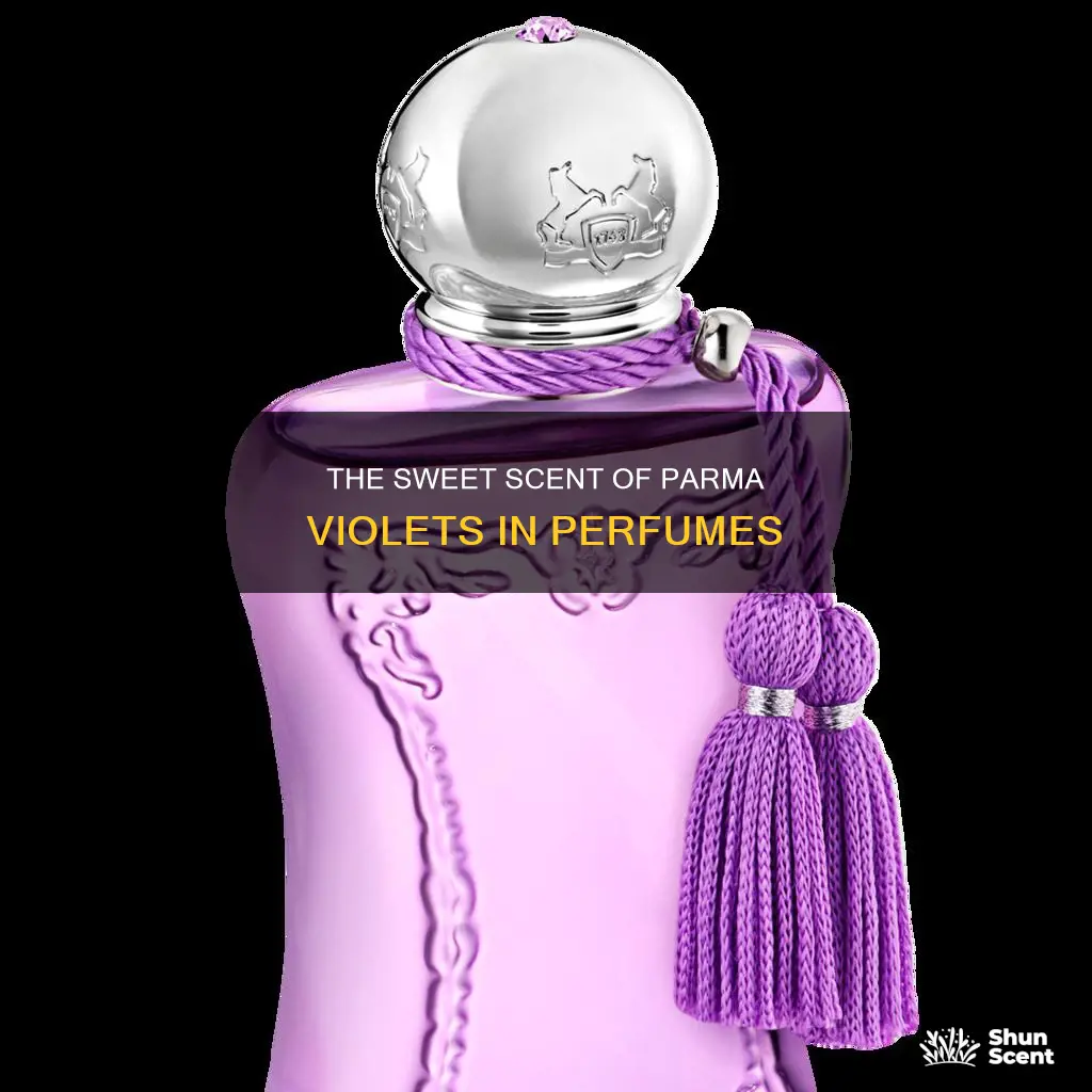 is there a perfume that smells like parma violets
