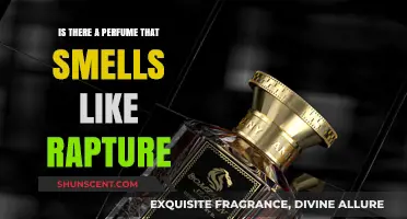 Explore Rapture Scents: Fragrances That Evoke Otherworldly Bliss