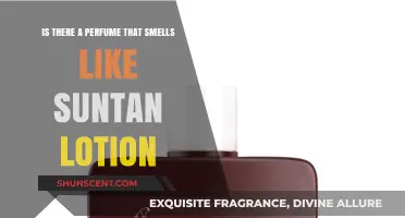 Scent of Summer: Fragrances Evoking Suntan Lotion