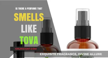 Explore Scents Similar to Tova's Signature Perfume