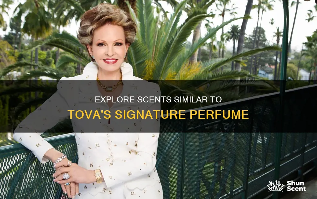 is there a perfume that smells like tova