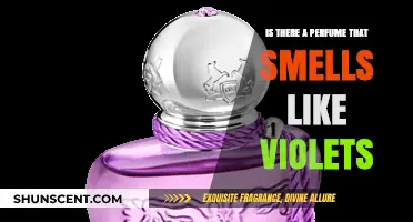 Explore the Fragrance of Violet-Scented Perfumes