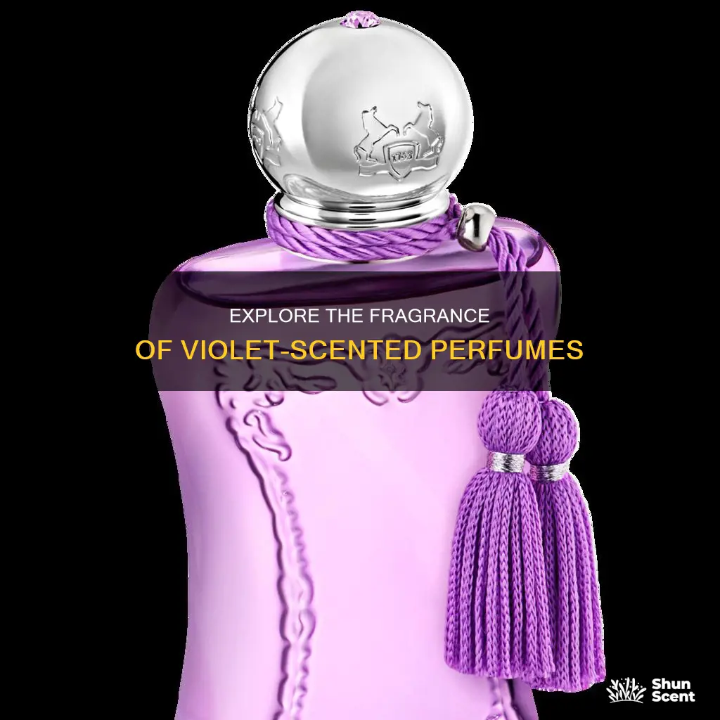 is there a perfume that smells like violets