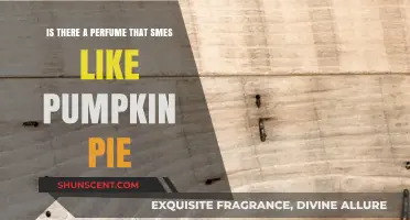 Pumpkin Pie Perfumes: Can You Wear Your Favorite Fall Dessert?