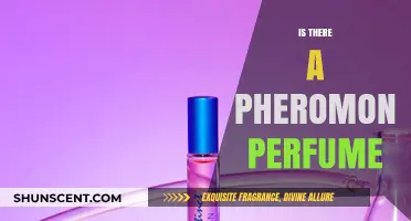 Pheromone Perfumes: Myth or Reality? Unveiling the Science Behind Attraction