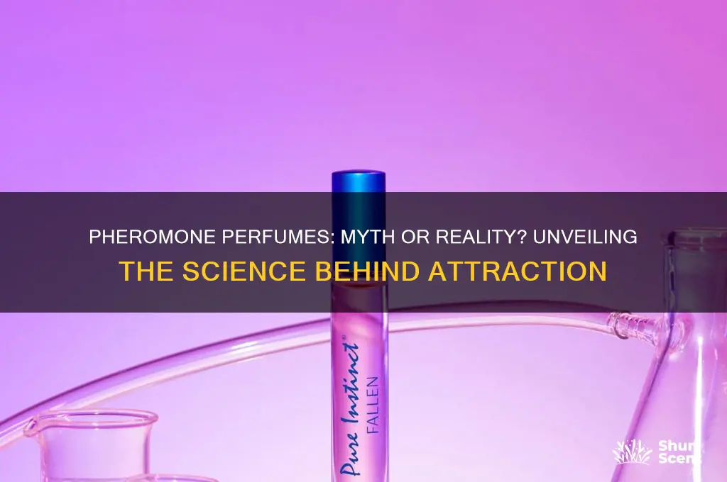 is there a pheromone perfume