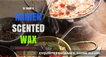 Discover the Unique Aroma: Ramen Scented Wax Melts