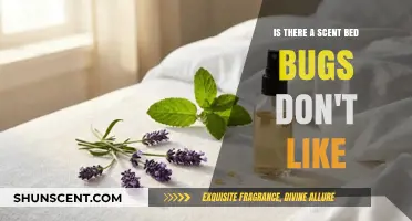 Discover the Secret Scents That Keep Bed Bugs at Bay