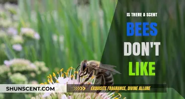 Unveiling Nature's Secrets: Scents That Deter Bees