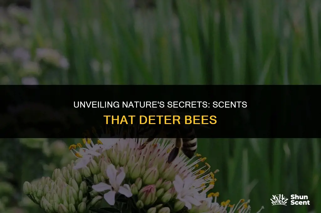 is there a scent bees don