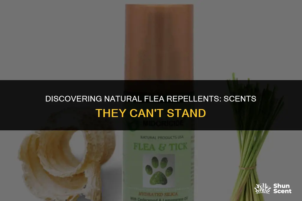 is there a scent fleas don