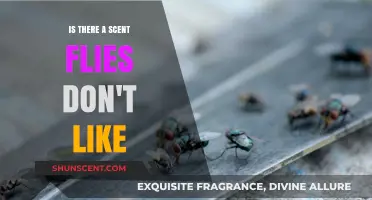 Discover the Secret: Scents That Keep Pesky Flies Away!