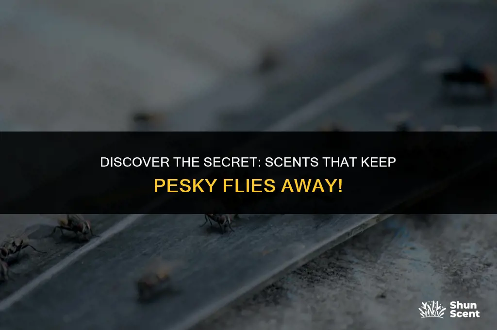 is there a scent flies don