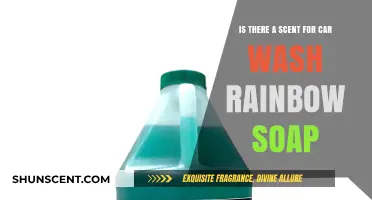 Exploring the Aromatic World of Car Wash Rainbow Soap