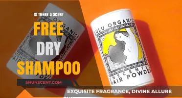 Exploring Scent-Free Dry Shampoo Options: A Comprehensive Guide