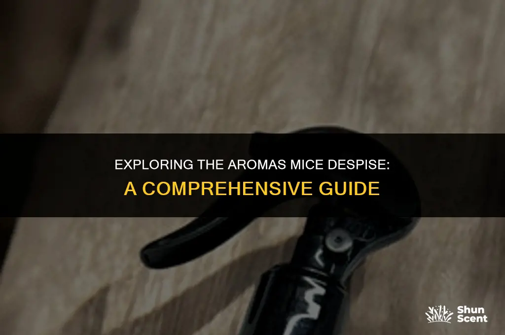 is there a scent mice don t like
