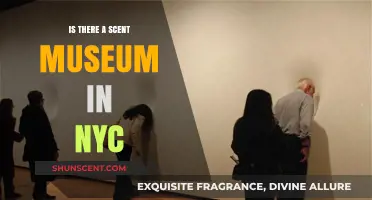 Exploring the Fragrant World: A Scent Museum in NYC?