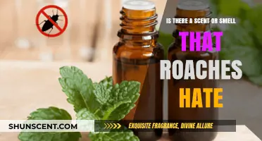 Discovering Roach Repellents: Scents They Despise