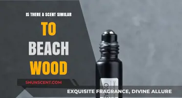 Exploring Fragrant Alternatives: Discovering Scents Similar to Beachwood