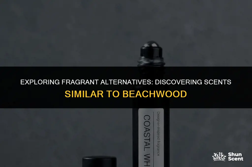 is there a scent similar to beach wood