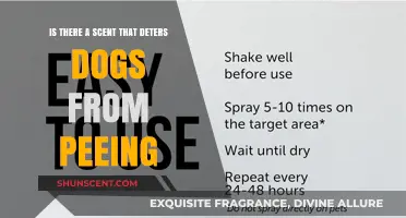Exploring Canine Deterrents: Scents That May Discourage Dog Urination