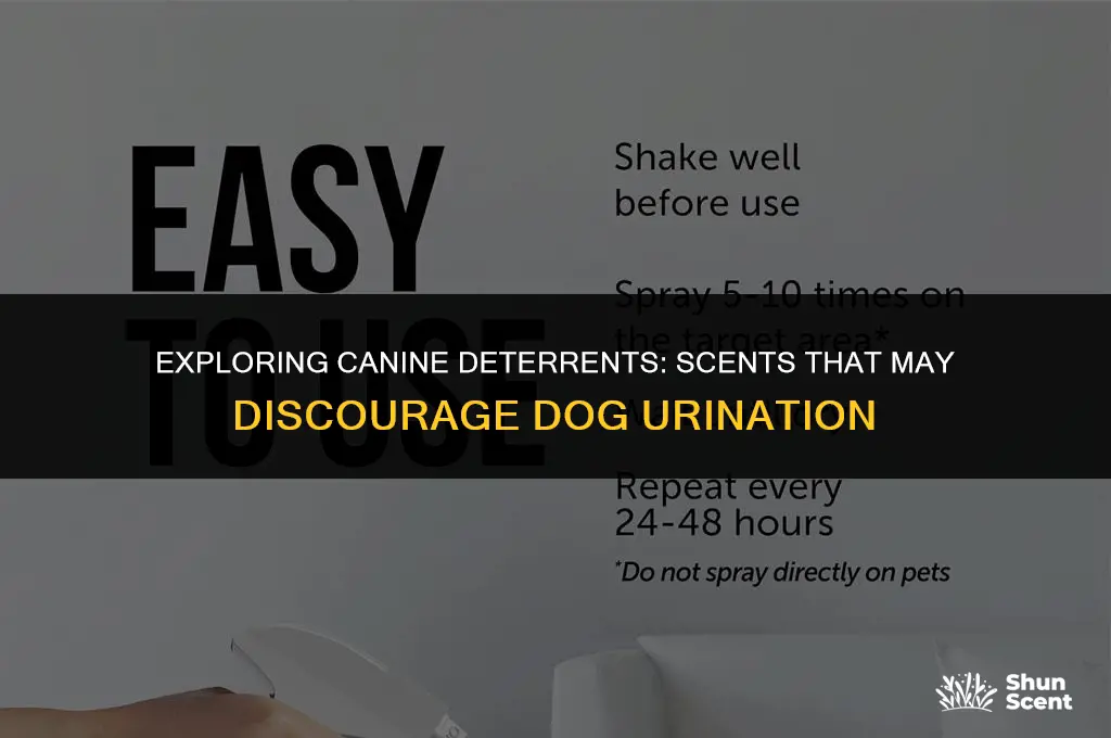 is there a scent that deters dogs from peeing