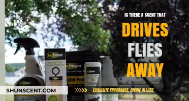 Discover the Natural Fly Repellent: A Scent Solution