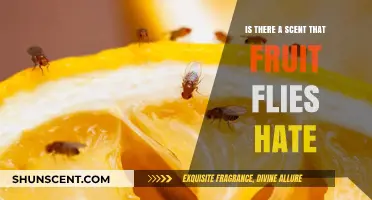 Fruit Flies' Least Favorite Scents: A Guide to Natural Repellents