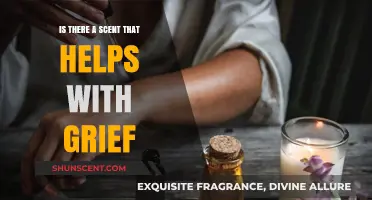 Exploring Aromatherapy: Scents That May Help Ease Grief