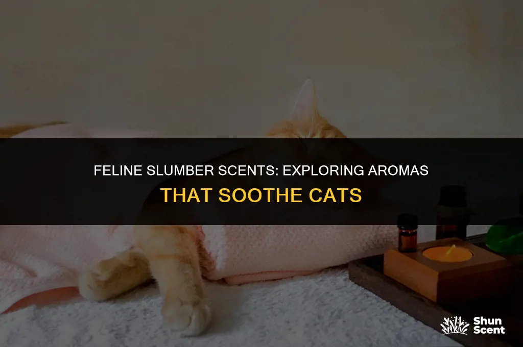 is there a scent that makes cats sleepy