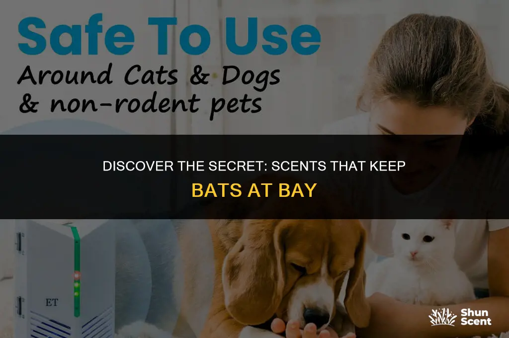 is there a scent that repels bats