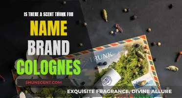 Scent Trunks for Name-Brand Colognes: Worth the Money?