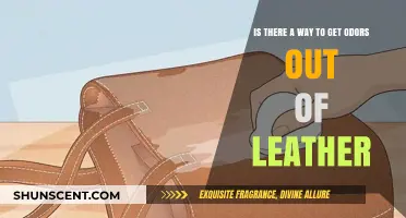 Leather Care: Effective Methods to Eliminate Odors