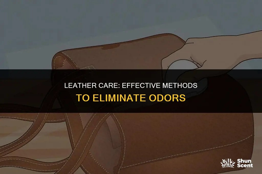 is there a way to get odors out of leather