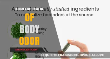 Freshen Up: Effective Ways to Combat Body Odor Naturally