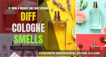 Explore the World of Cologne Scents Online