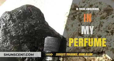 Is Ambergris in Your Perfume? Unveiling the Scent's Secret Ingredient