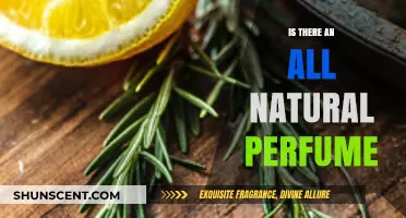 Exploring All-Natural Perfumes: Are Chemical-Free Scents Truly Possible?