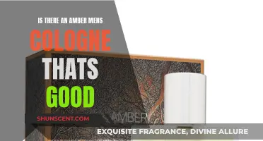 Discover the Best Amber Men's Colognes