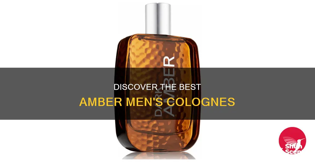 is there an amber mens cologne thats good