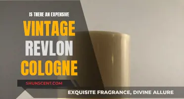 The Hunt for Expensive Vintage Revlon Colognes